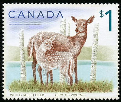 Fine Silver Coin and Stamp Set - White-tailed Deer and Fawn Stamp