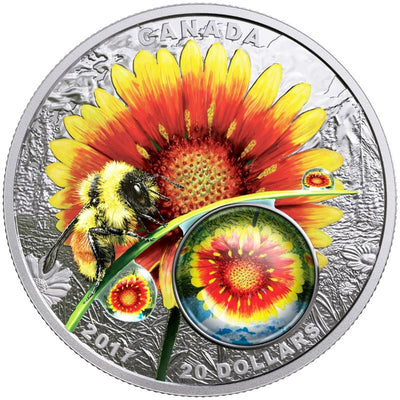 Fine Silver Coin with Colour and Glass Element - Mother Nature's Magnification: Beauty Under the Sun Reverse