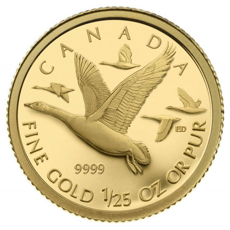 2011 1/25oz Pure Gold Coin - Canada Geese