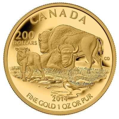 Pure Gold Coin - Bison: At Home On the Plains Reverse