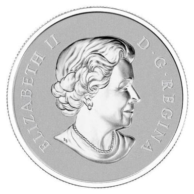 Fine Silver Coin - Maple Leaf Obverse