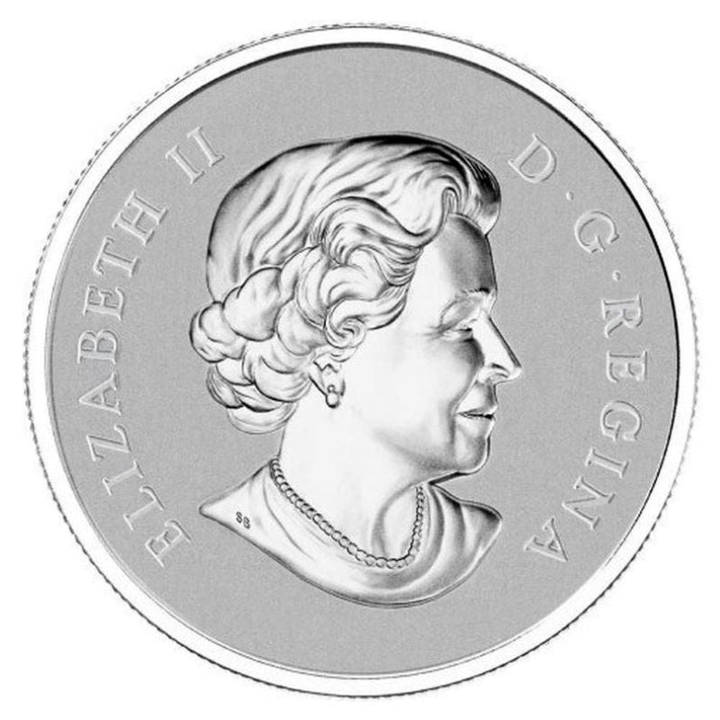 Fine Silver Coin - Maple Leaf Obverse