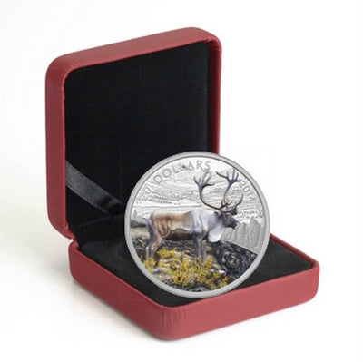 Fine Silver Coin with Colour - The Caribou Packaging