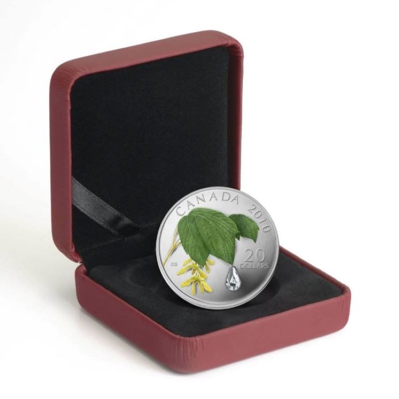Fine Silver Coin with Colour and Swarovski Crystal - Maple Leaf Crystal Raindrop Packaging