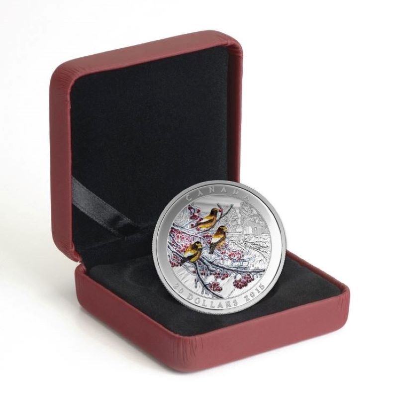Fine Silver Coin with Colour - Weather Phenomenon: Winter Freeze Packaging