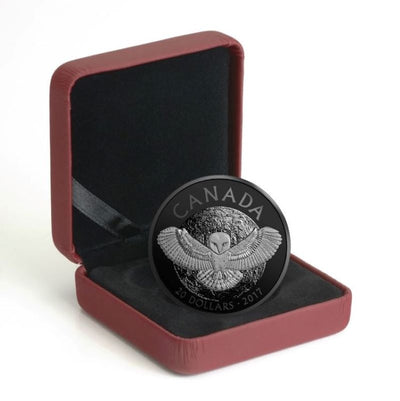 Fine Silver Coin with Colour - Nocturnal By Nature: The Barn Owl Packaging