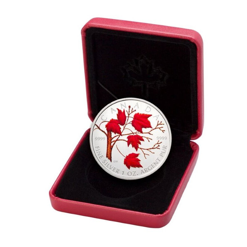 Fine Silver Coin with Colour - Maple Leaf In Winter Packaging