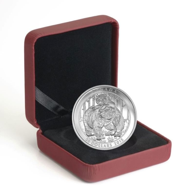Fine Silver Coin - Grizzly Bear: Togetherness Packaging