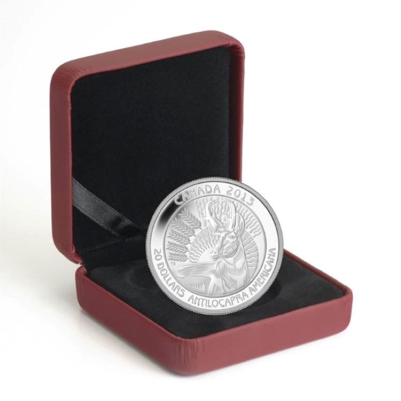 Fine Silver Coin - Untamed Canada: The Pronghorn Packaging