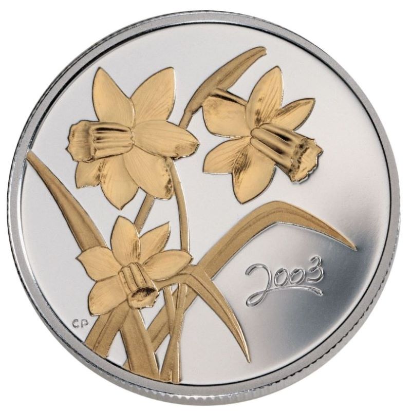 Sterling Silver Coin with Gold Plating - Golden Daffodil Reverse
