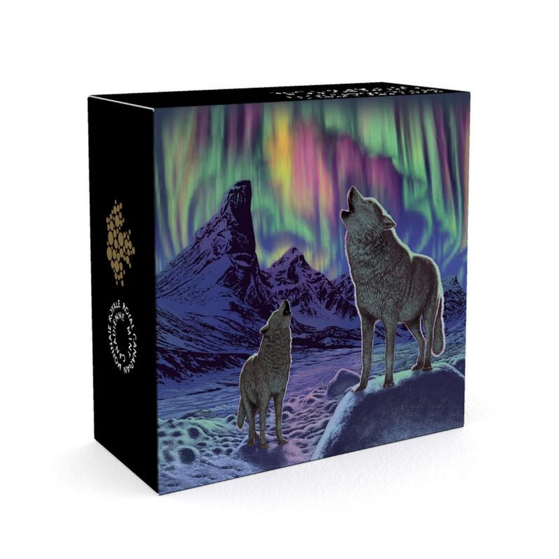 Fine Silver Glow In The Dark Coin - Northern Lights In the Moonlight Packaging