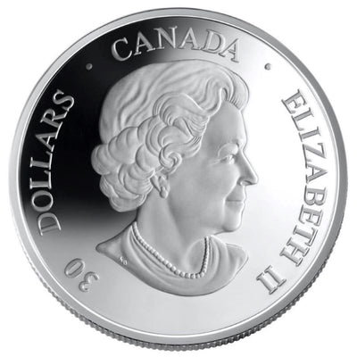 Sterling Silver Hologram Coin - Canadarm and Colonel Chris Hadfield Obverse
