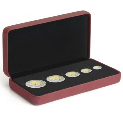 Fine Silver 5 Coin Set with Gold Plating - Fractional Maple Leaf Packaging