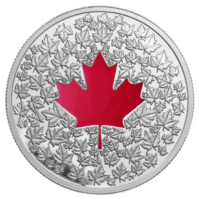 Fine Silver Coin with Colour - Maple Leaf Impressions Reverse