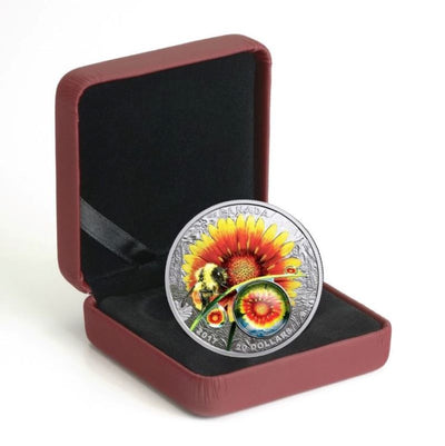 Fine Silver Coin with Colour and Glass Element - Mother Nature's Magnification: Beauty Under the Sun Packaging