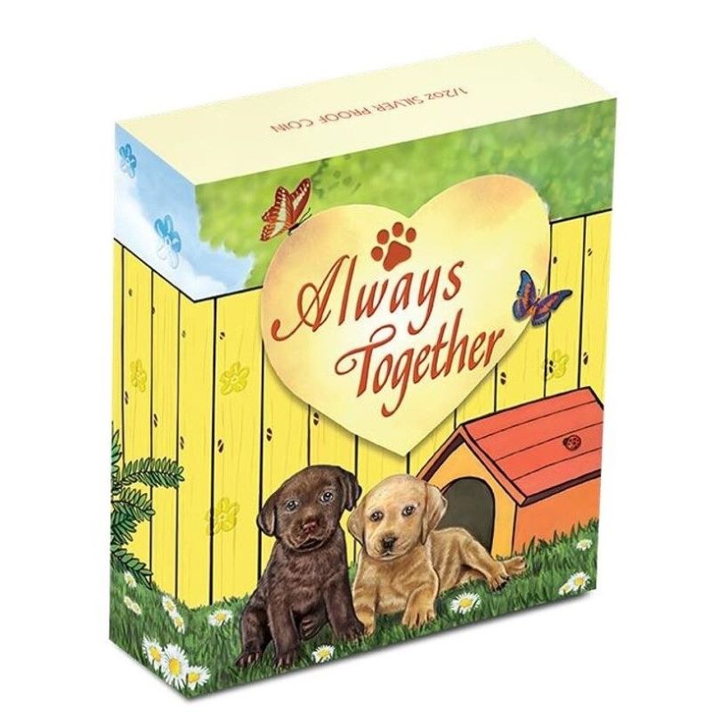 Fine Silver Coin with Colour - Always Together Puppies Packaging