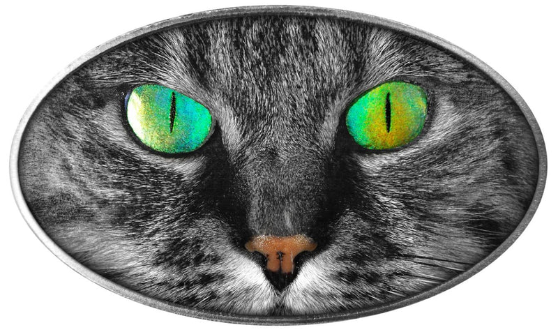 Fine Silver Hologram Coin with Colour - Kitty Cat Reverse