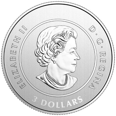 Fine Silver Coin - The Spirit of Canada Obverse