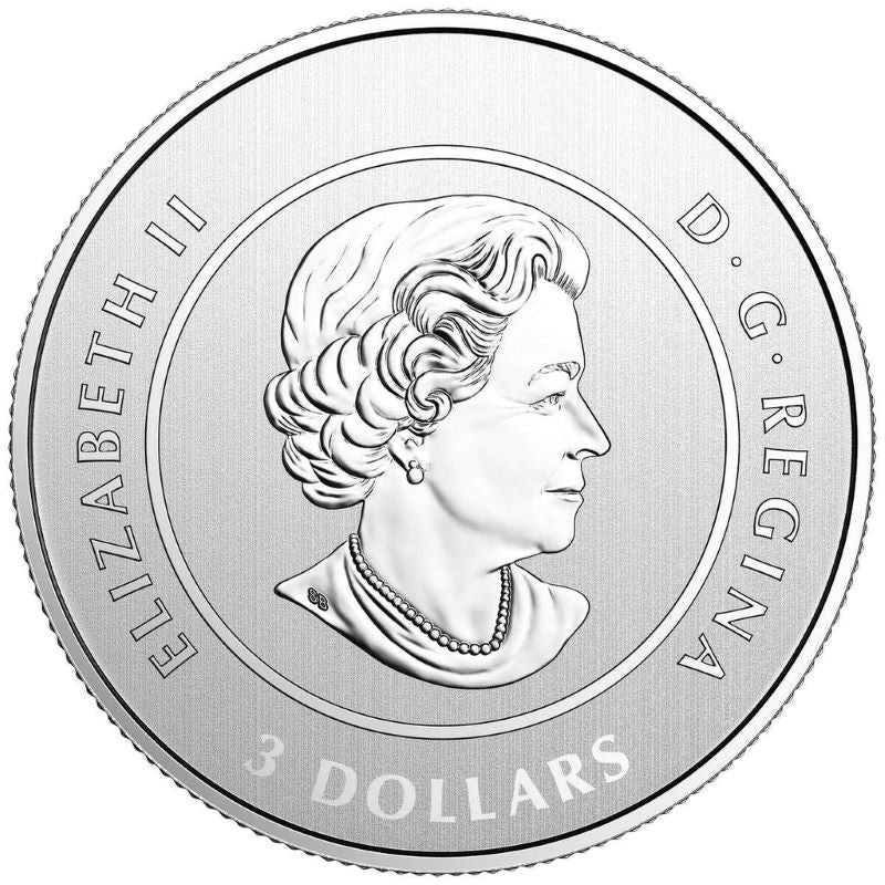 Fine Silver Coin - The Spirit of Canada Obverse