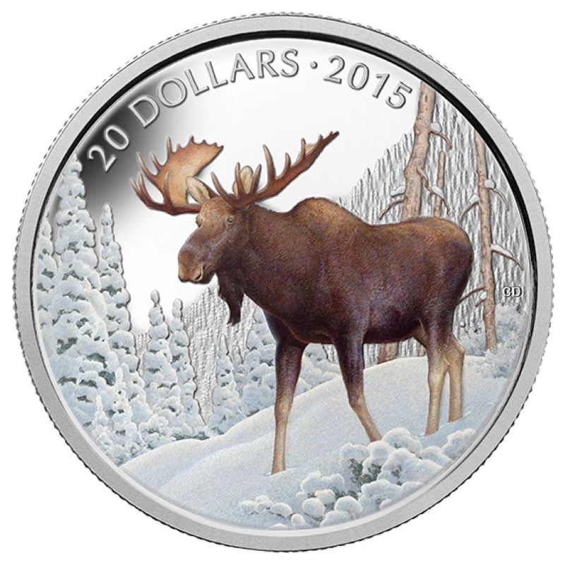Fine Silver Coin with Colour - The Majestic Moose Reverse