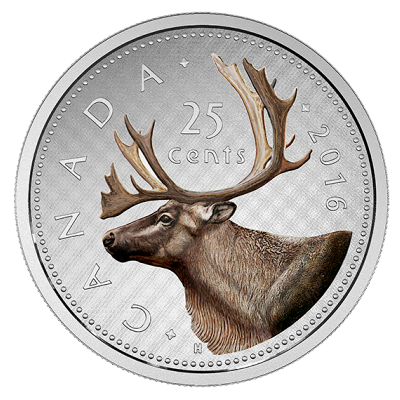 Fine Silver 6 Coin Set with Colour - Big Coin Series 25 Cents Caribou Reverse