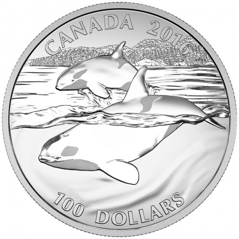 Fine Silver Coin - The Orca: Ruler of the Seas Reverse