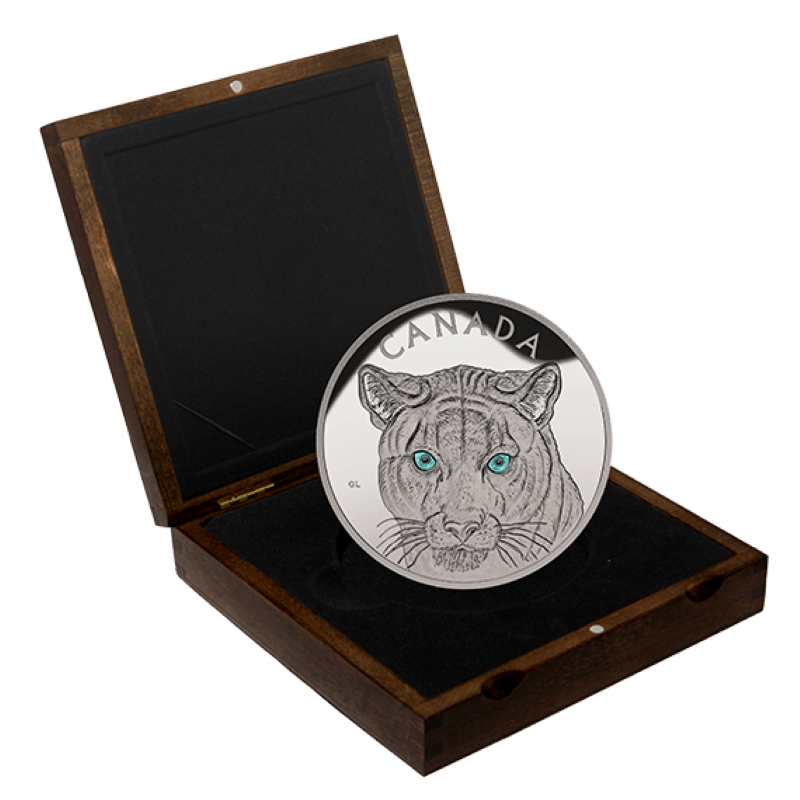 Fine Silver Coin with Colour - In the Eyes of the Cougar Packaging