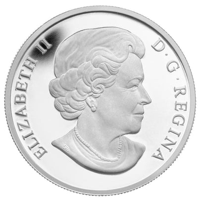 Fine Silver Coin - The Orca Obverse