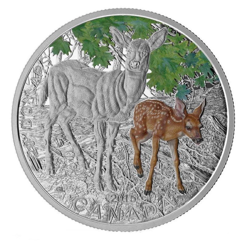 Fine Silver Coin with Colour and Stamp Set - Baby Animals: White-tailed Deer Reverse