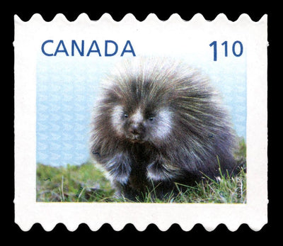 Fine Silver Coin with Colour and Stamp Set - Baby Animals: Porcupine Stamp