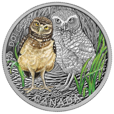 Fine Silver Coin with Colour and Stamp Set - Baby Animals: Burrowing Owl Reverse