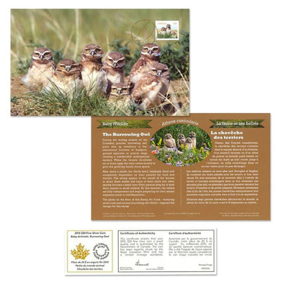Fine Silver Coin with Colour and Stamp Set - Baby Animals: Burrowing Owl Stamp