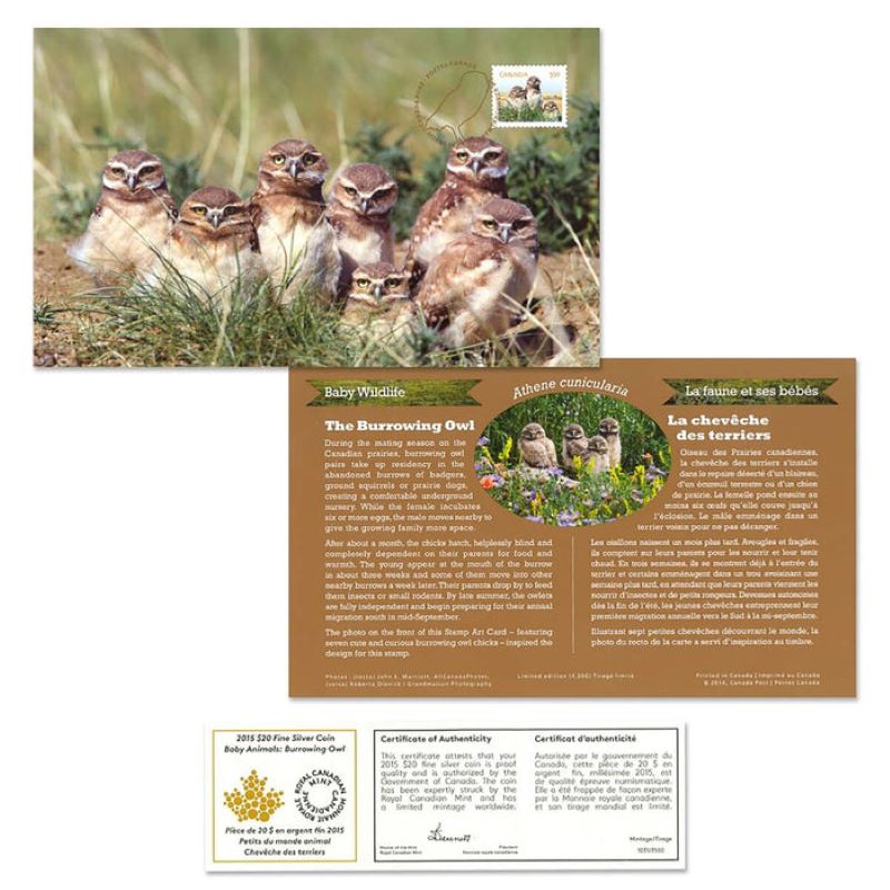 Fine Silver Coin with Colour and Stamp Set - Baby Animals: Burrowing Owl Stamp