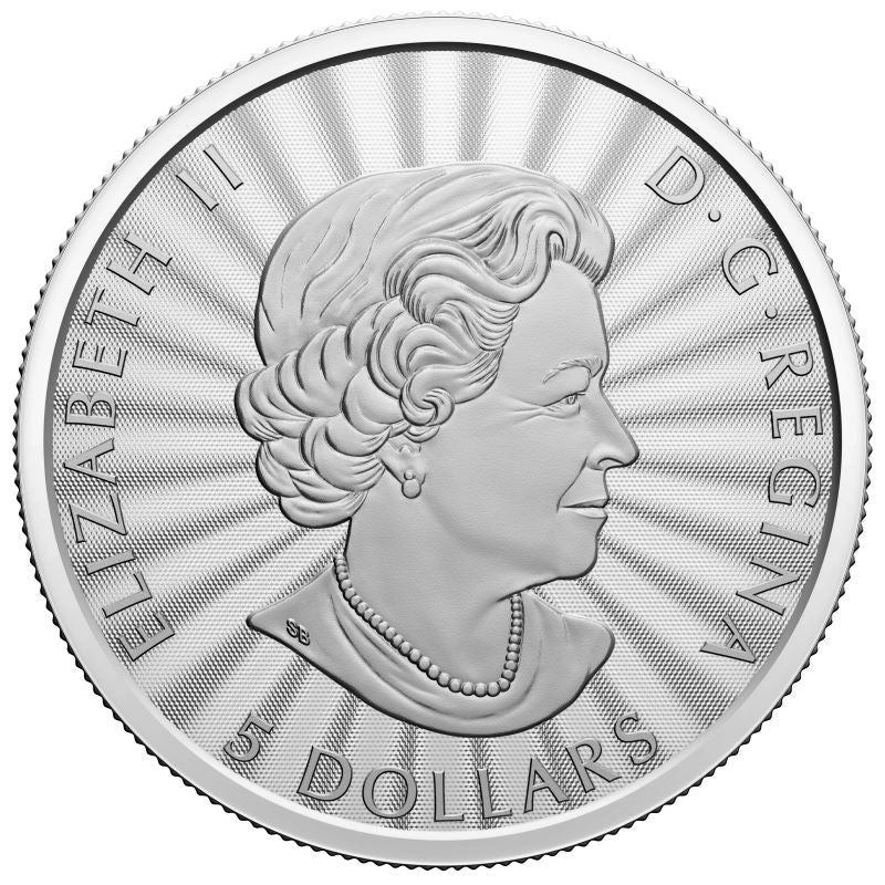 2022 $5 Fine Silver Coin - First Strikes: The Majestic Polar Bear