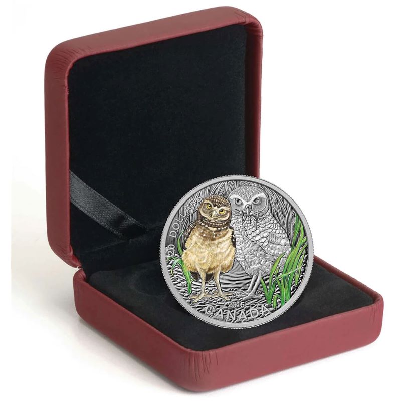 2015 $20 Fine Silver Coin with Colour - Baby Animals: Burrowing Owl