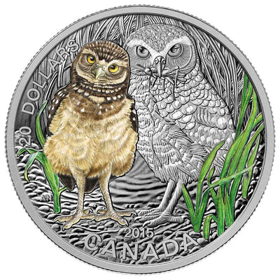 2015 $20 Fine Silver Coin with Colour - Baby Animals: Burrowing Owl