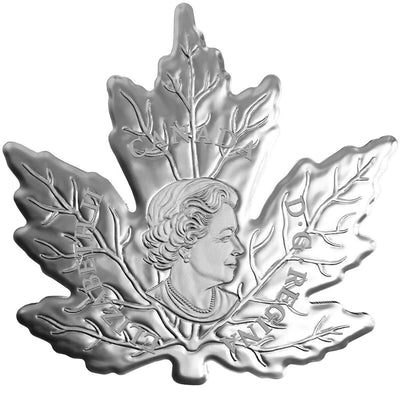 Fine Silver Maple Leaf Shaped Coin with Colour - Canada's Colourful Maple Leaf Obverse