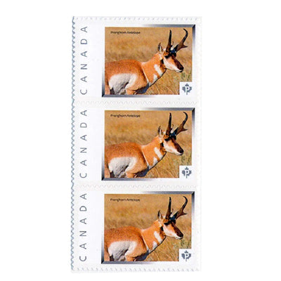 Fine Silver Coin and Stamp Set - Pronghorn Antelope Stamps