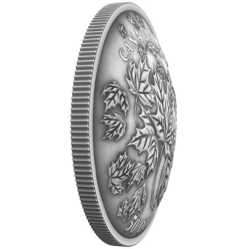 Fine Silver Convex Coin with Colour - Maple Leaves In Motion Reverse