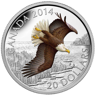Fine Silver Coin with Colour - Soaring Bald Eagle Reverse