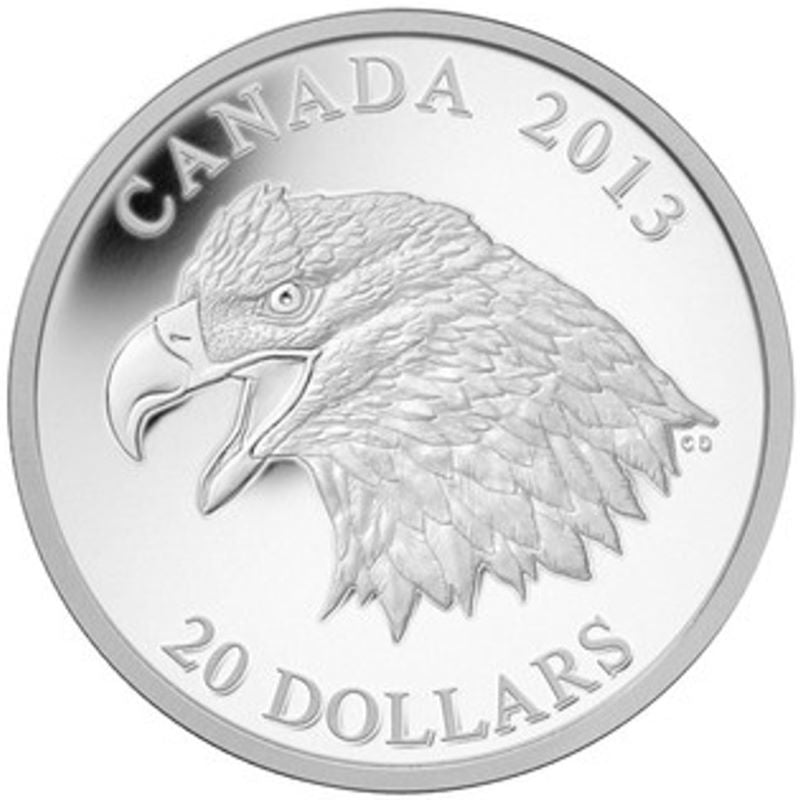 Fine Silver Coin - The Bald Eagle: Portrait of Power Reverse