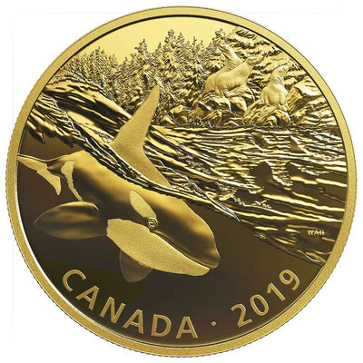 Fine Silver Coin with Gold Plating - Golden Reflections: Predator and Prey Orca and Sea Lions Reverse