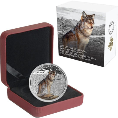 Fine Silver Coin with Colour - Imposing Alpha Wolf Packaging