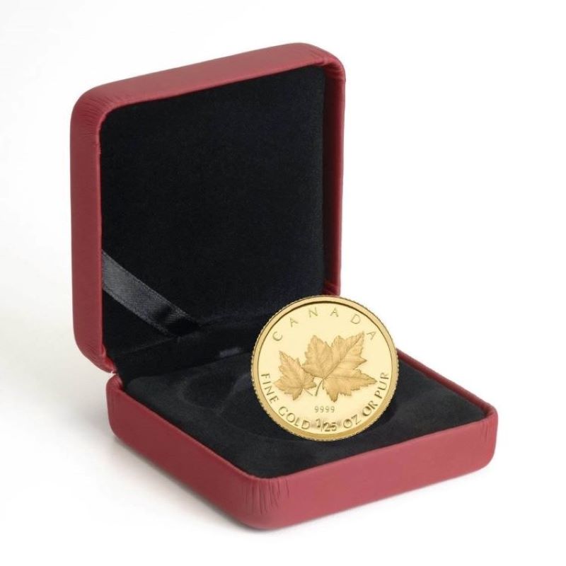 Pure Gold Coin - Leaves of the Red Maple Packaging