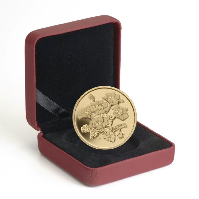 Pure Gold Coin - Mountain Avens Packaging