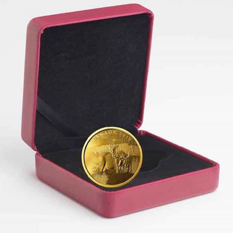 Pure Gold Coin - Canadian Moose Packaging