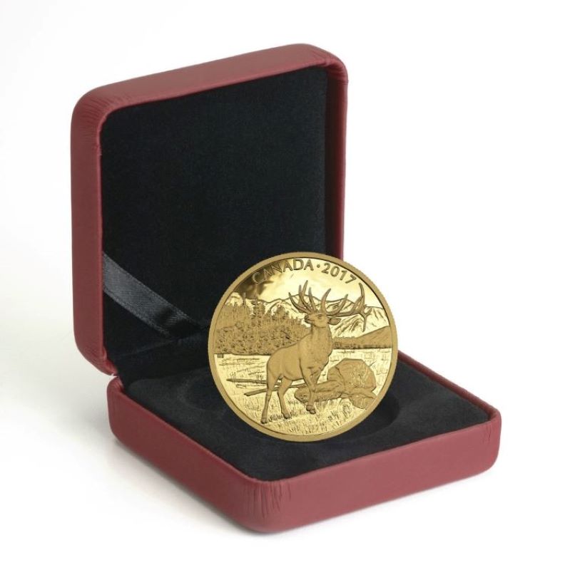 Pure Gold Coin - The Majestic Elk Packaging