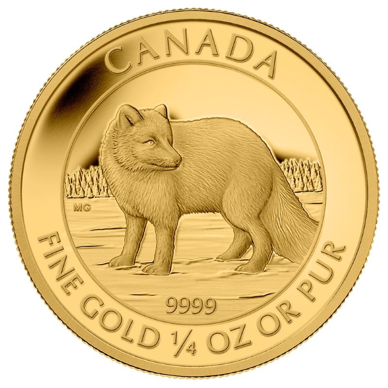 Pure Gold Coin - Arctic Fox Reverse