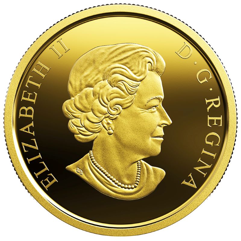 Pure Gold Coin with Colour - Armistice Poppy Obverse