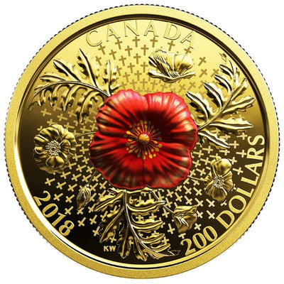 Pure Gold Coin with Colour - Armistice Poppy Reverse